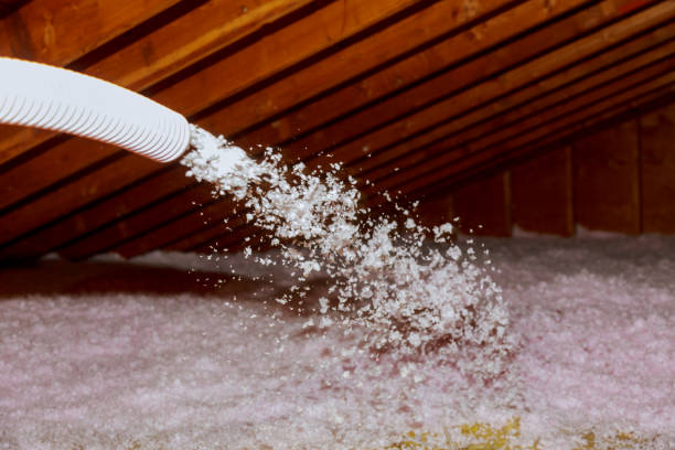 Trusted Las Lomas, CA Insulation Contractor Experts