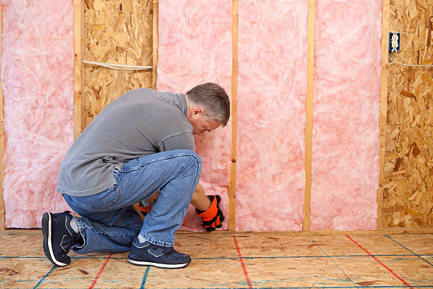 Types of Insulation We Offer in Las Lomas, CA